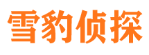 神池外遇调查取证